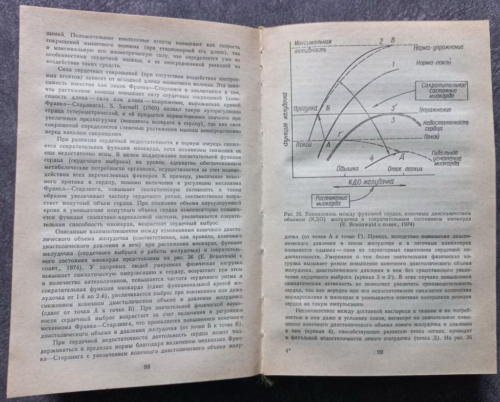 Неотложные состояния в клинике внутренних болезней. А.И. Грицюк - фото фото фото 3