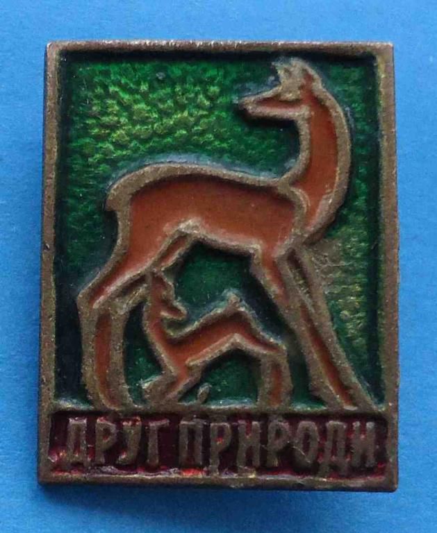 друг природы олени - фото фото фото 0