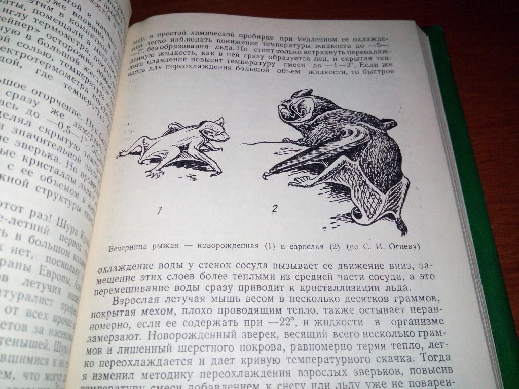 Калабухов Н.И. ЖИЗНЬ ЗООЛОГА - фото фото фото 5