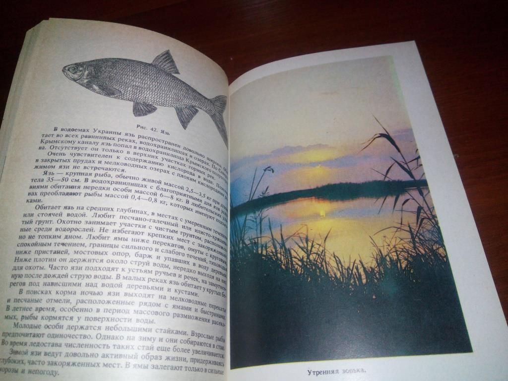 Настольная книга рыболова - фото фото фото 2