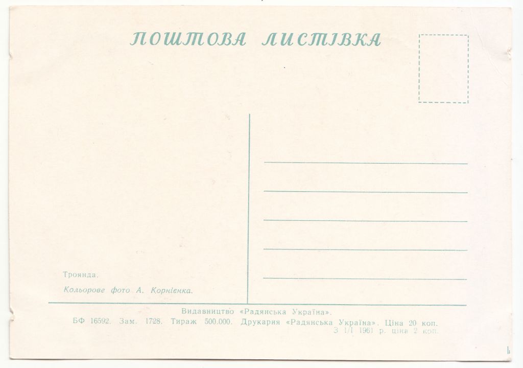 Троянди Квіти 1961 Корнієнко Р13 - фото фото фото 1