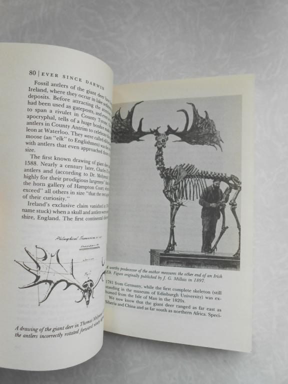 Ever Since Darwin Gould Stephen Jay - фото фото фото 3