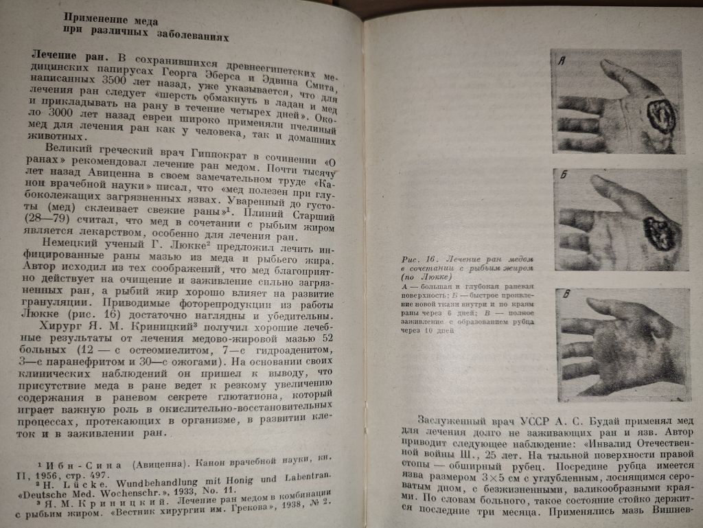 книга: ПЧЕЛЫ - КРЫЛАТЫЕ ФАРМАЦЕВТЫ, II-е изд., 1966г. - фото фото фото 8