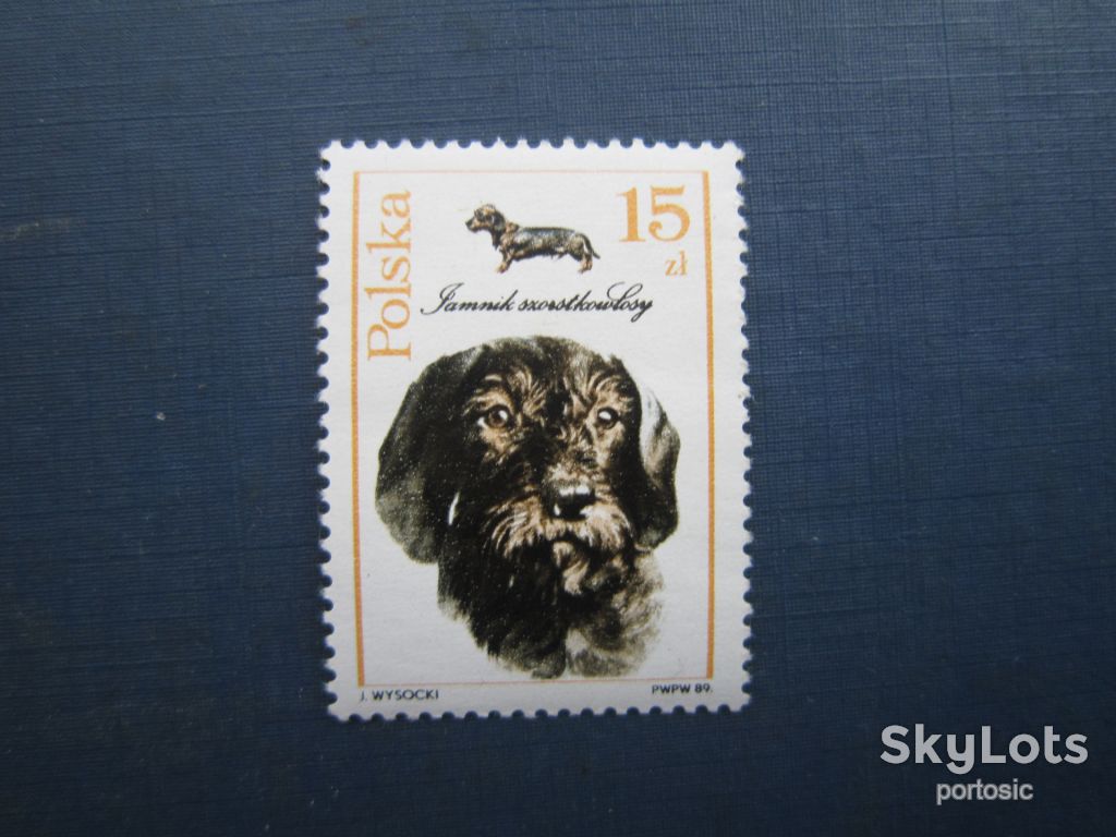 Марка Польща 1989 фауна собака такса жорсткошерста MNH - фото фото фото 0