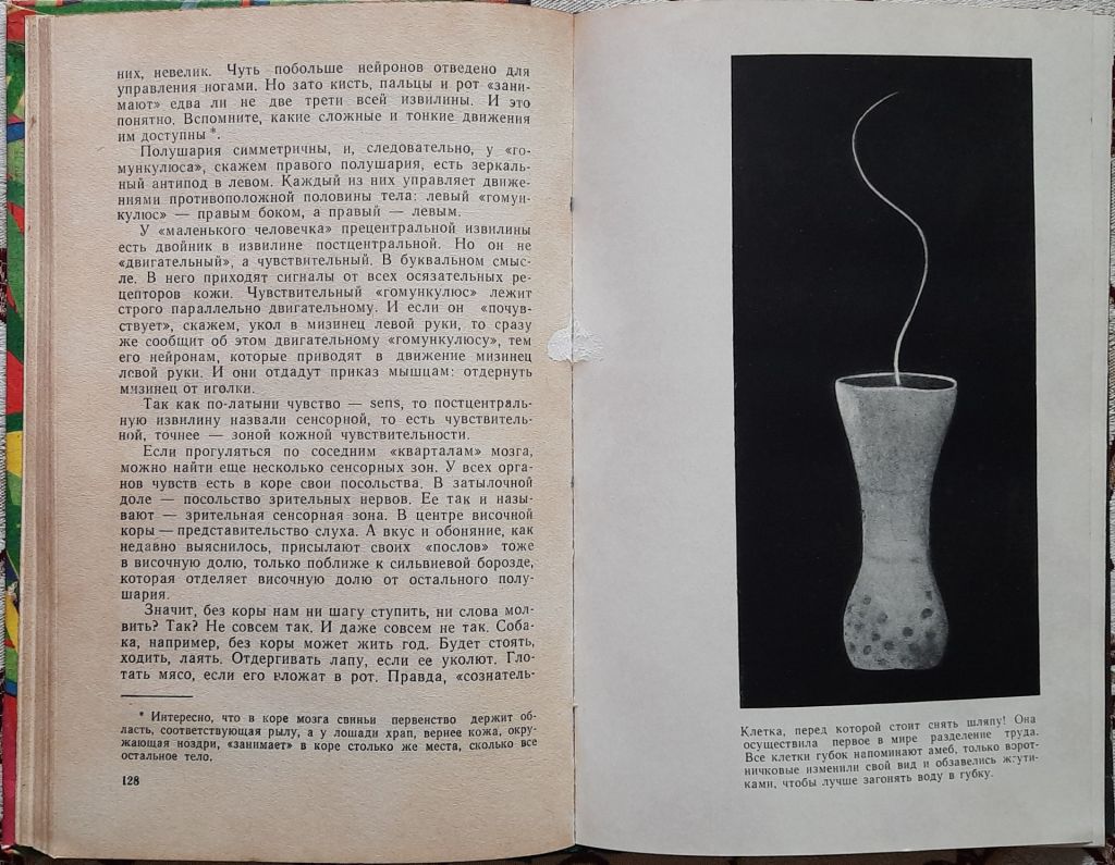 Занимательная биология, Акимушкин Игорь Иванович, эврика - фото фото фото 5
