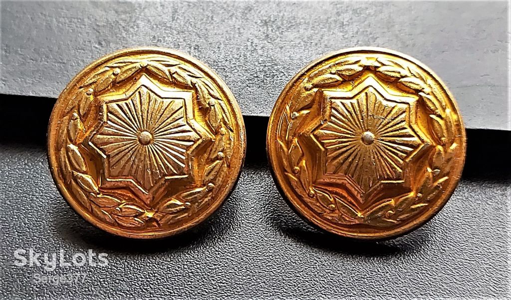 ZN Україна, гудзики великі, 2 шт. - фото фото фото 0