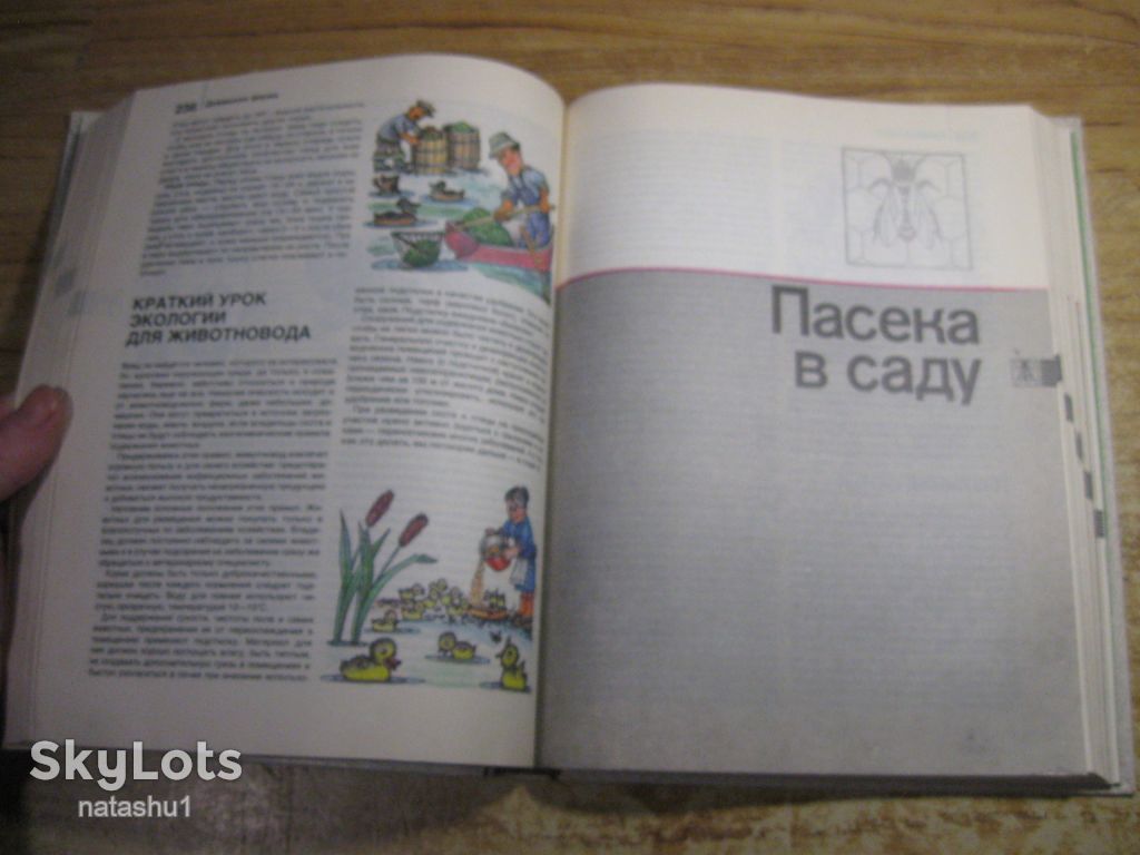 дом и усадьба 1990г - фото фото фото 3