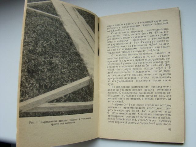Брошюра Томаты, 1966 г. - фото фото фото 2