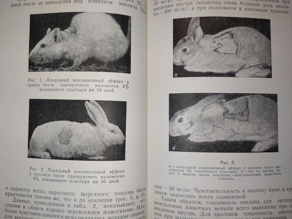 книга: ЭПИЛИН В ТЕРАПИИ ДЕРМАТОМИКОЗОВ ВОЛОСИСТОЙ ЧАСТИ ГОЛОВЫ 1961г. - фото фото фото 4