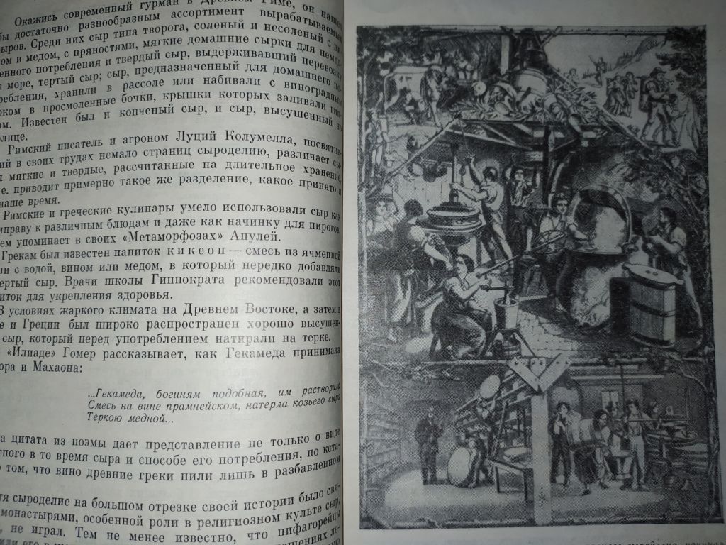 книга: КНИГА О СЫРЕ 1974г. - фото фото фото 11