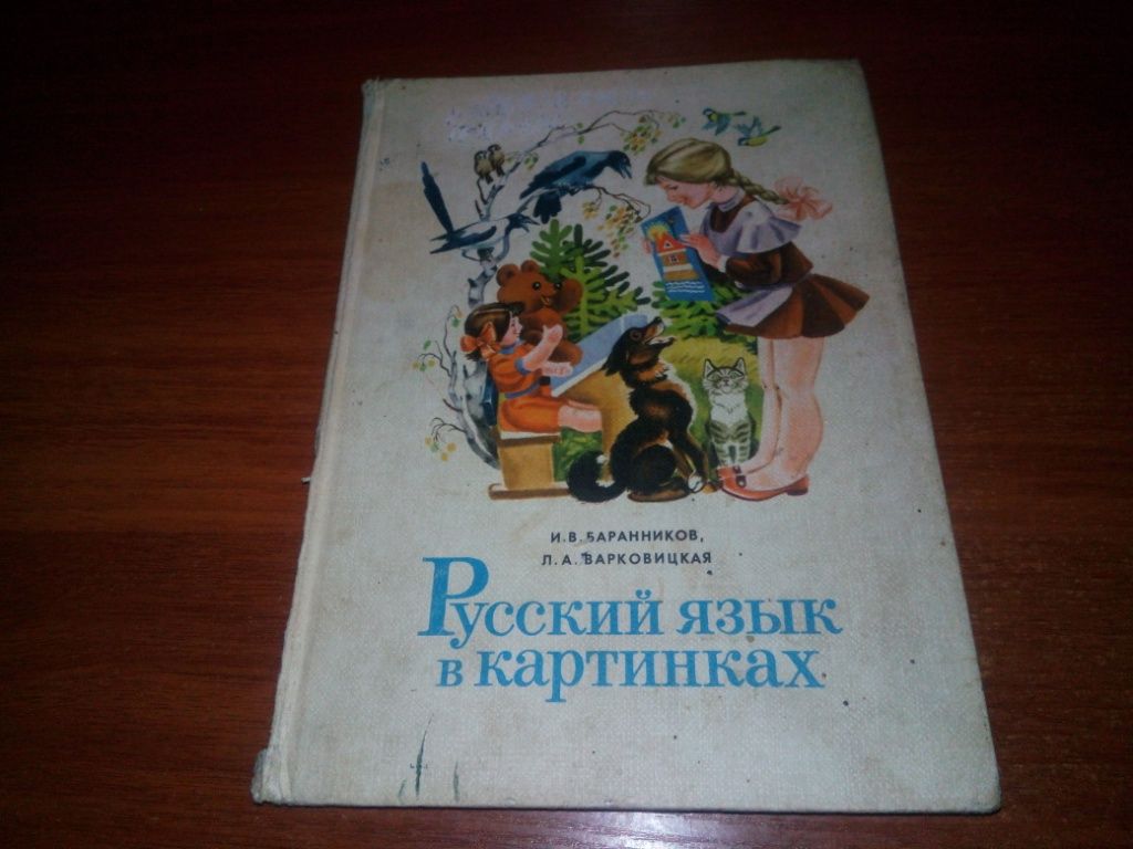 Русский язык в картинках 1 - фото фото фото 0