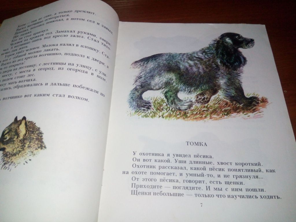 Чарушин Е. ВОЛЧИШКО. Рассказы  (Рисунки автора) - фото фото фото 7