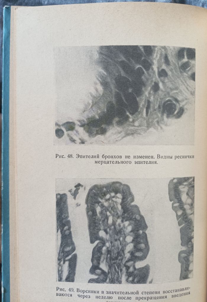 Книга Ферменты кишечника. Раритет. - фото фото фото 4