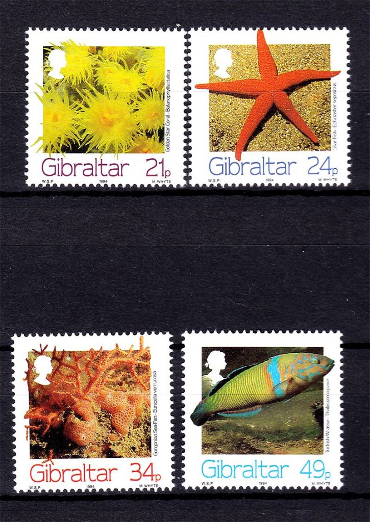 NM Фауна  Гибралтар 1994 г MNH - морская фауна - фото фото фото 0