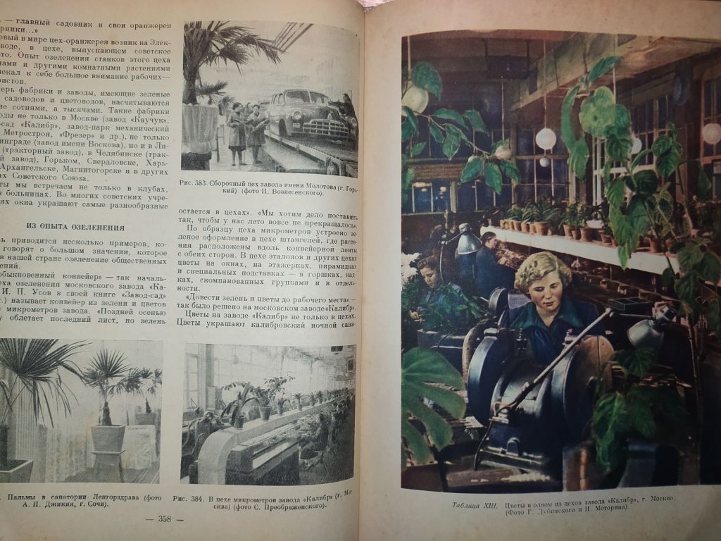 книга: КОМНАТНОЕ САДОВОДСТВО 1956г. - фото фото фото 6