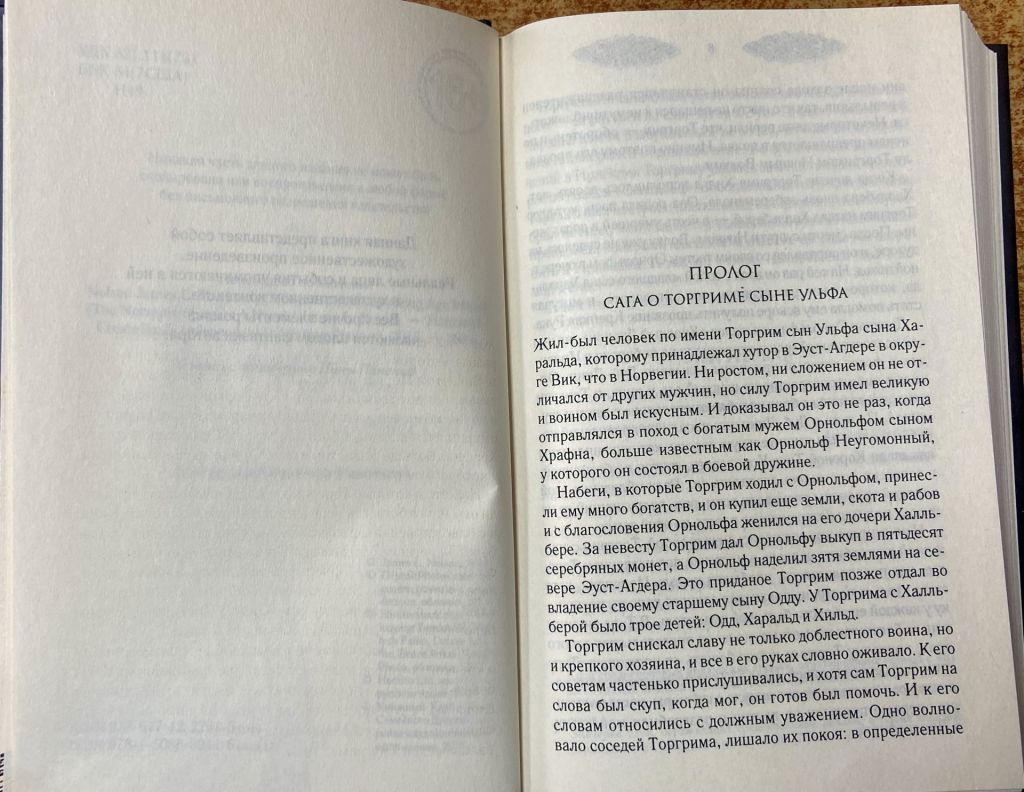 ДЖЕЙМС Л НЕЛЬСОН. Хозяин Форта. Возвращение Викинга - фото фото фото 3