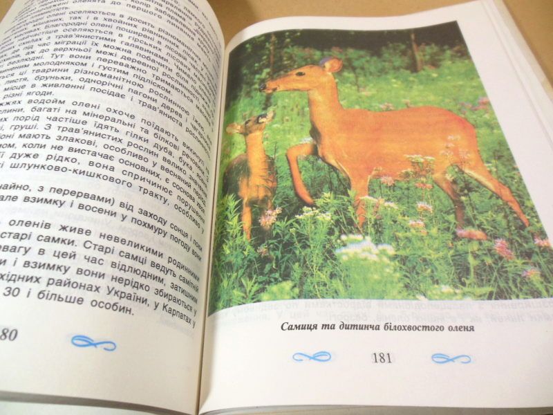Що? Як? Чому? Популярна дитяча енциклопедія. Світ тварин - фото фото фото 5