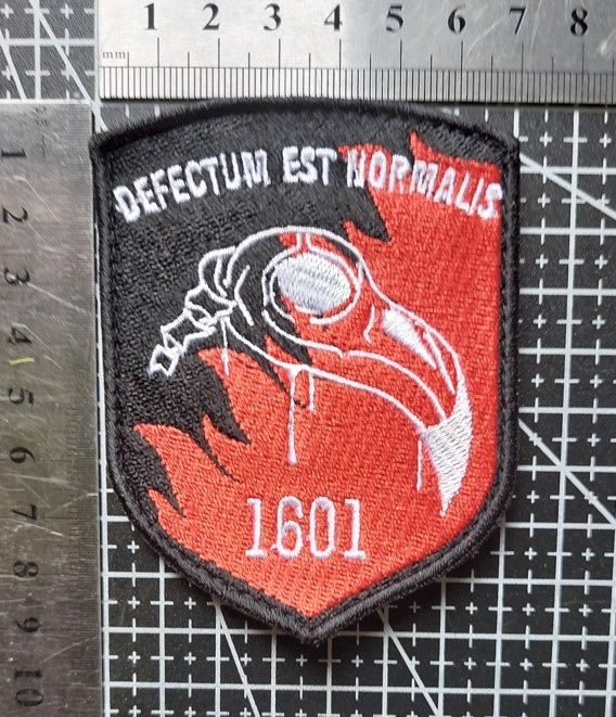 Шеврон Украина Defectus est normalis «Недостатки — это норма». № 2687 - фото фото фото 1