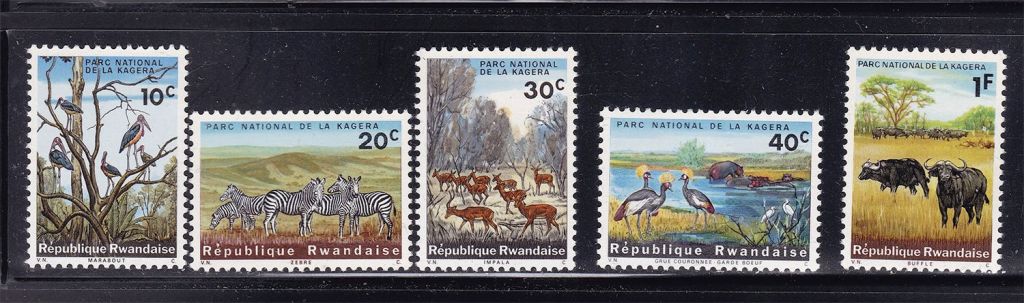 NM Фауна . Руанда 1965 г ** - - фото фото фото 0