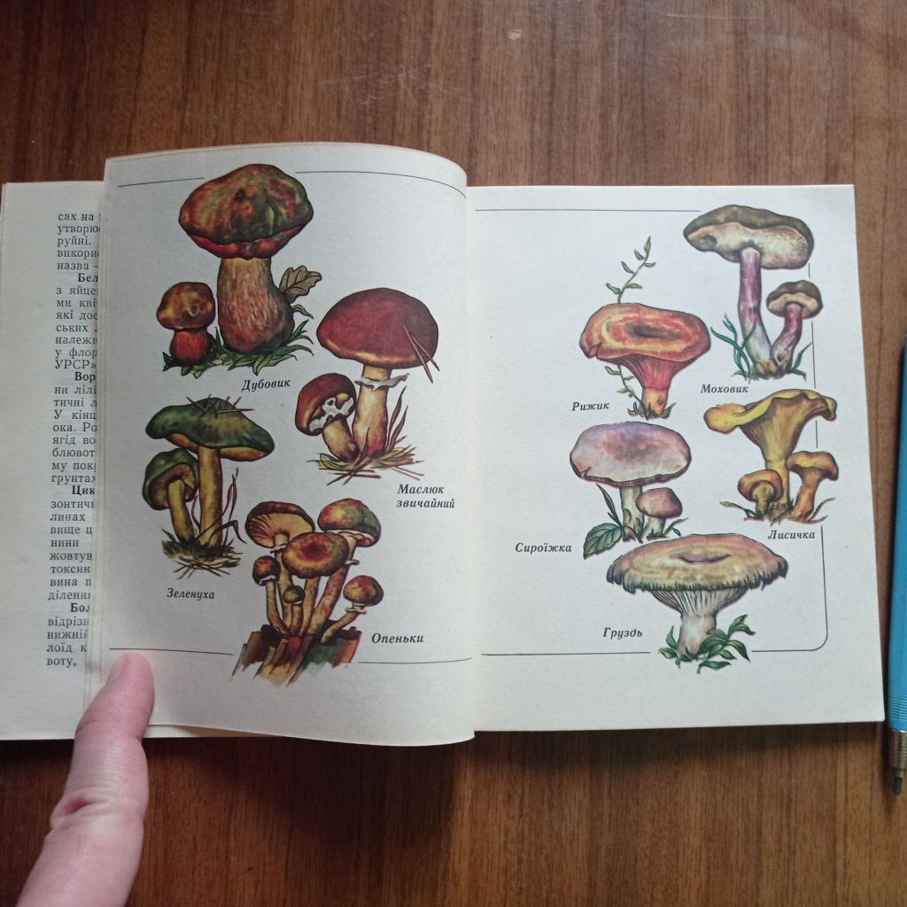 А.І. Кондратюк Лісова скринька - фото фото фото 6