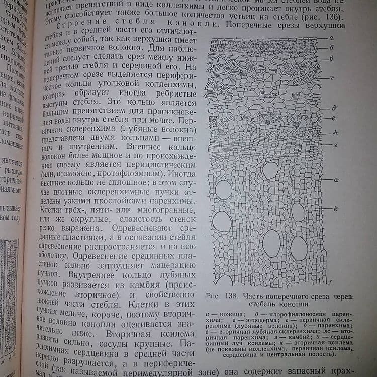 Ботаника	Жуковский 	1949 - фото фото фото 5