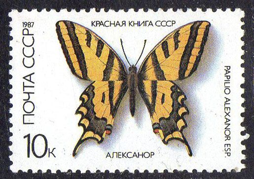 СРСР 1987 – Метелики внесені до Червоної книги СРСР ** - фото фото фото 0