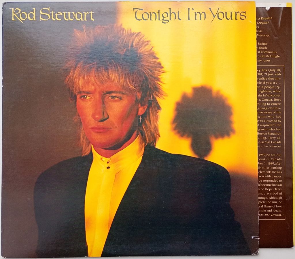 ROD STEWART Tonight I'm Yours LP VG++/EX- - фото фото фото 0