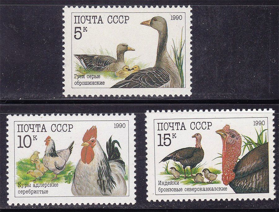 СССР  1990 г   MNH - фауна - птицы - фото фото фото 0