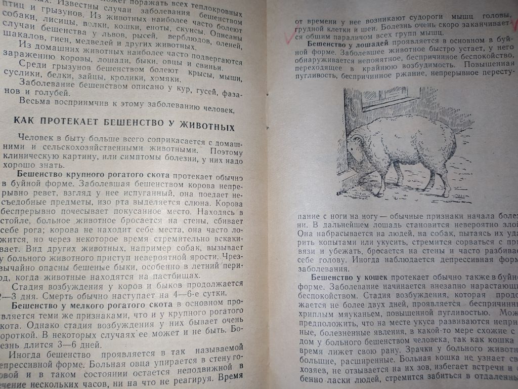 книга брошюра: БЕШЕНСТВО 1962г. - фото фото фото 3