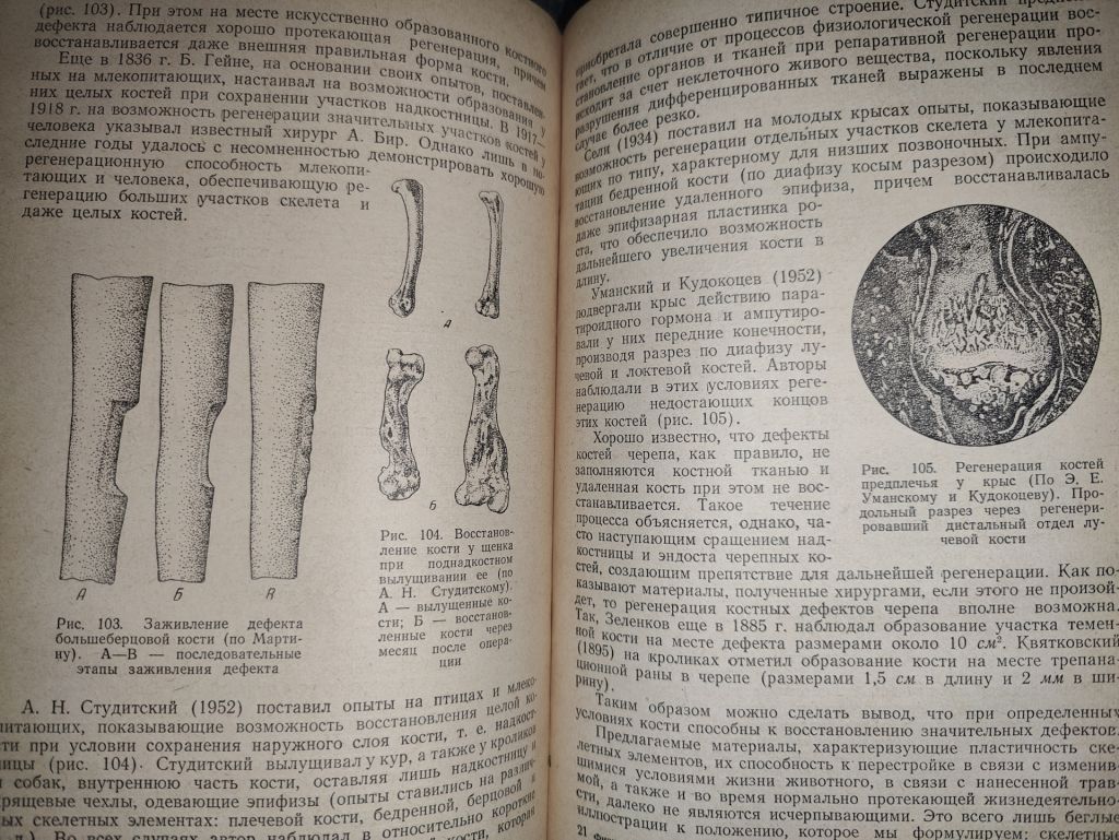 книга: ФИЗИОЛОГИЧЕСКАЯ РЕГЕНЕРАЦИЯ 1955г. - фото фото фото 6