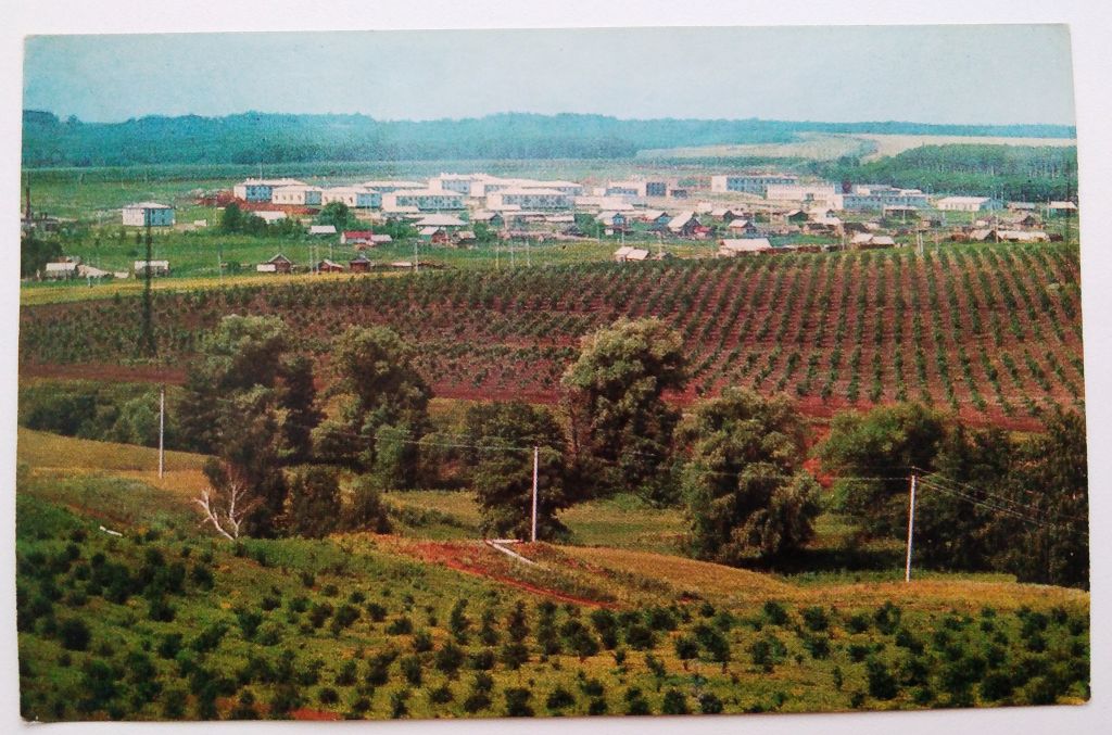 Алакаевка.Общий вид современного села. Дом-музей им. Ленина. - фото фото фото 2