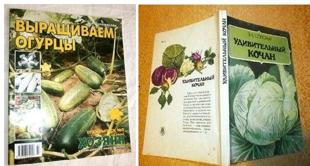 *УДИВИТЕЛЬНЫЙ КОЧАН*    З.Х.Соловых.  Для широкого круга  огородников. - фото фото фото 3