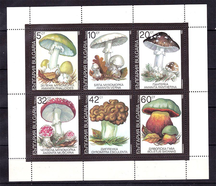 Флора . Болгаоия 1990 г MNH - грибы - блок - фото фото фото 0