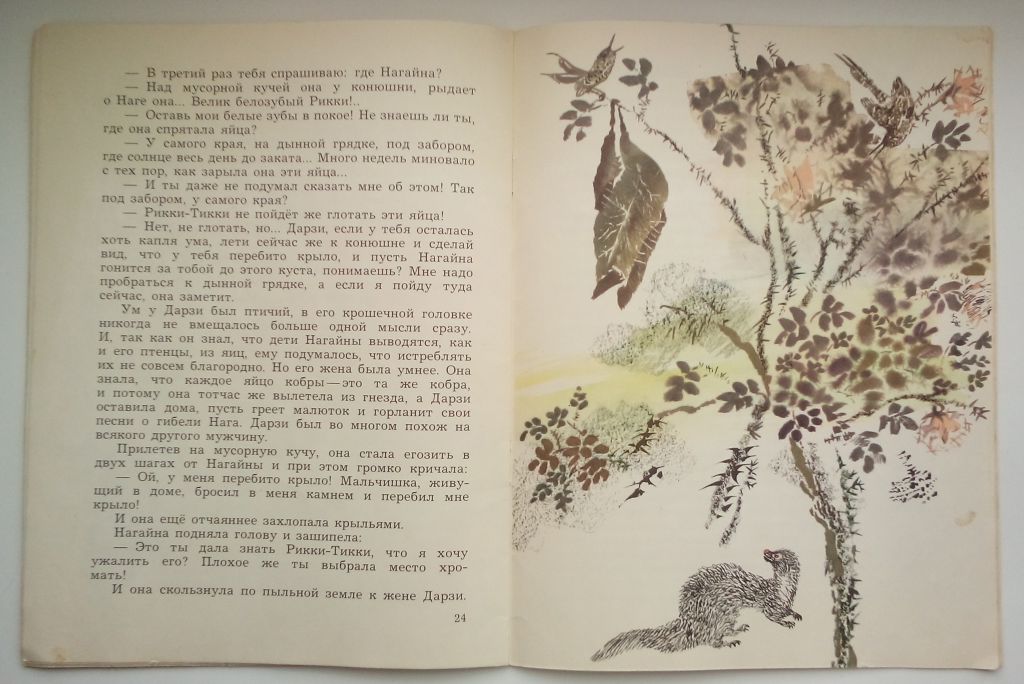 Р. Киплинг Рикки-Тикки-Тави. Рисунки Н. Чарушина 1980г. - фото фото фото 3