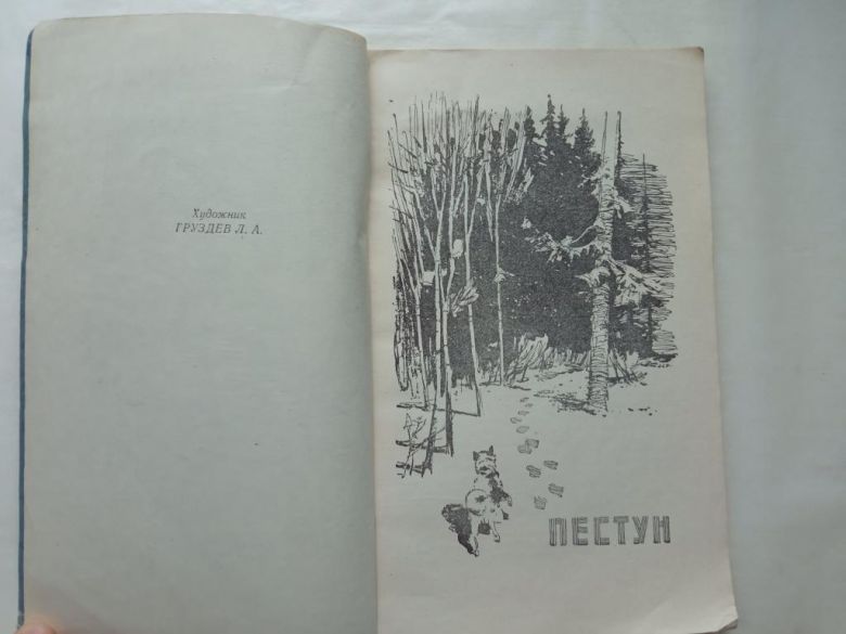 ГИНЦЕЛЬ Петр. ПЕСТУН. Рис. Л. ГРУЗДЕВ. Новосибирское КИ 1959 г. - фото фото фото 3