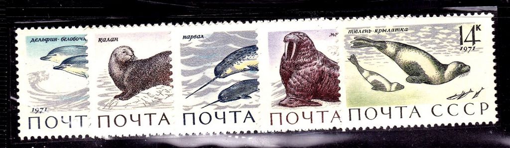 СССР 1971 г  MNH - фауна - фото фото фото 0
