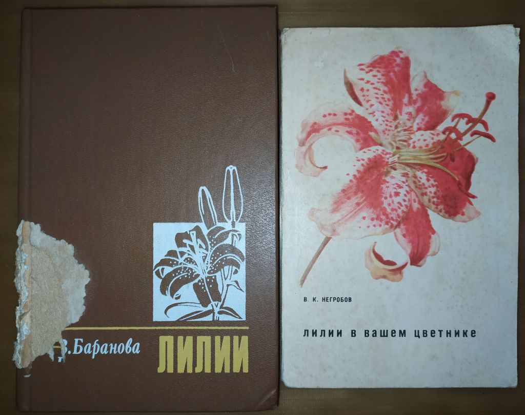 книги: ЛИЛИИ 1990г. ЛИЛИИ В ВАШЕМ ЦВЕТНИКЕ 1969г.; - фото фото фото 0