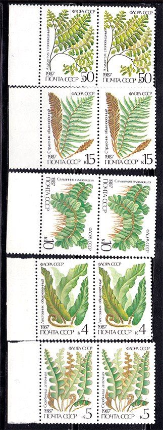 СССР  1987 г   MNH -  флора - фото фото фото 0