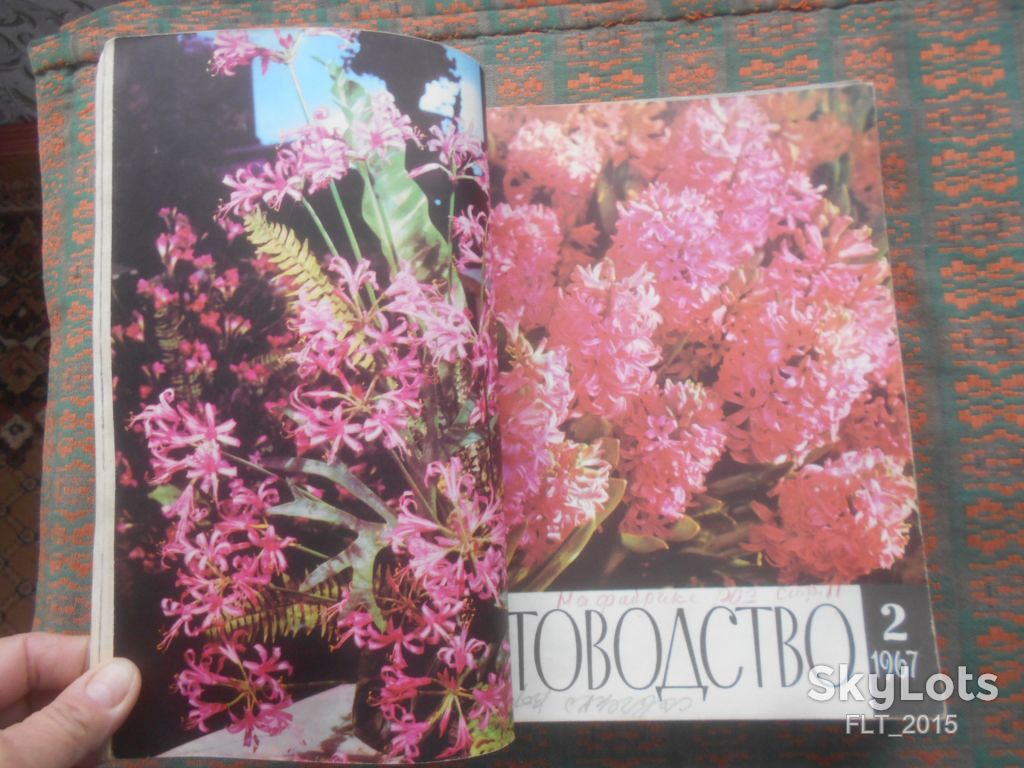Цветоводство  1967 г.  Годовая - фото фото фото 2