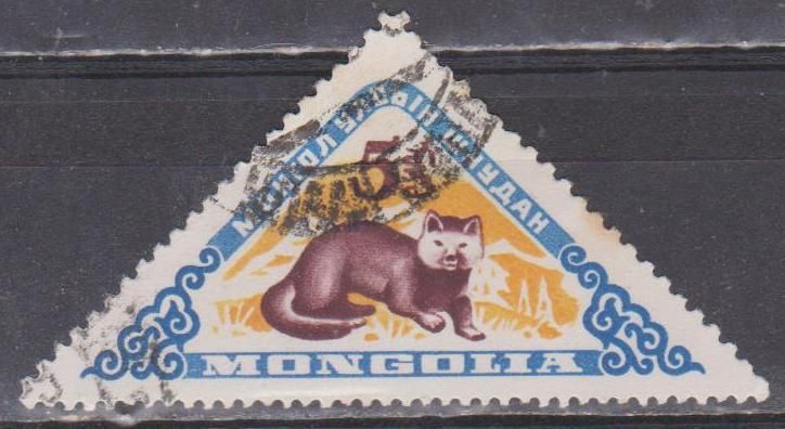 Монголия 1959 фауна - фото фото фото 0