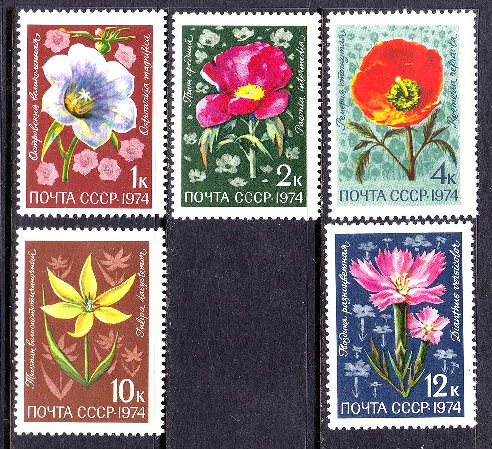 СССР  1974 г   MNH -  флора - фото фото фото 0