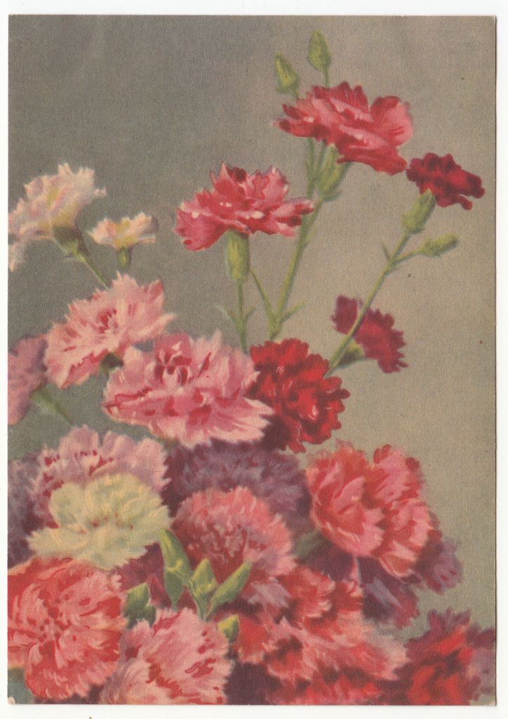 Цветы 1955 P4 - фото фото фото 0