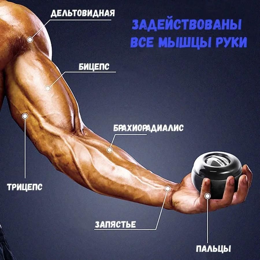 Гироскопический тренажер GYRO BALL - тренировка и восстановление мышц - фото фото фото 1
