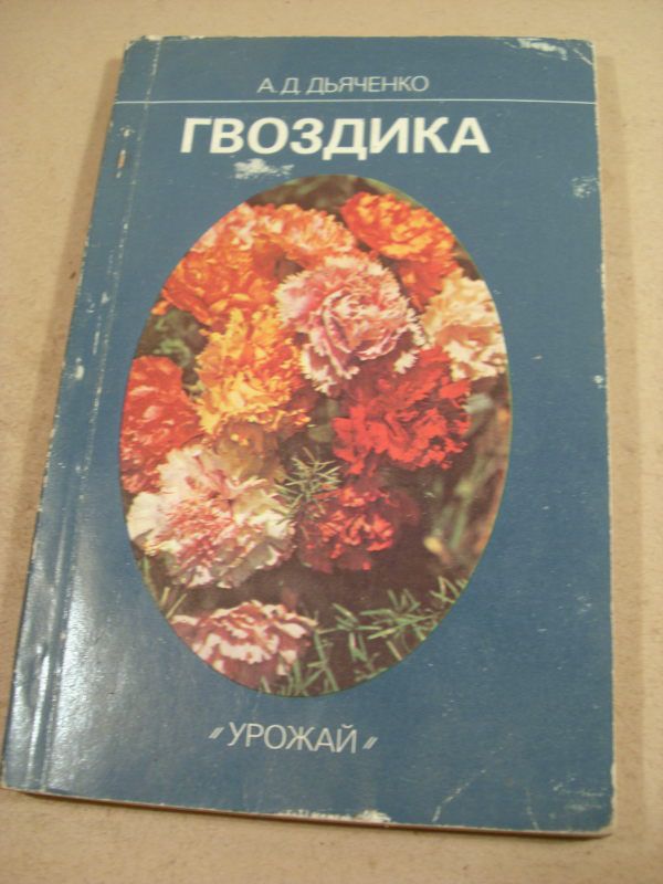 А.Д.Дьяченко. Гвоздика - фото фото фото 0