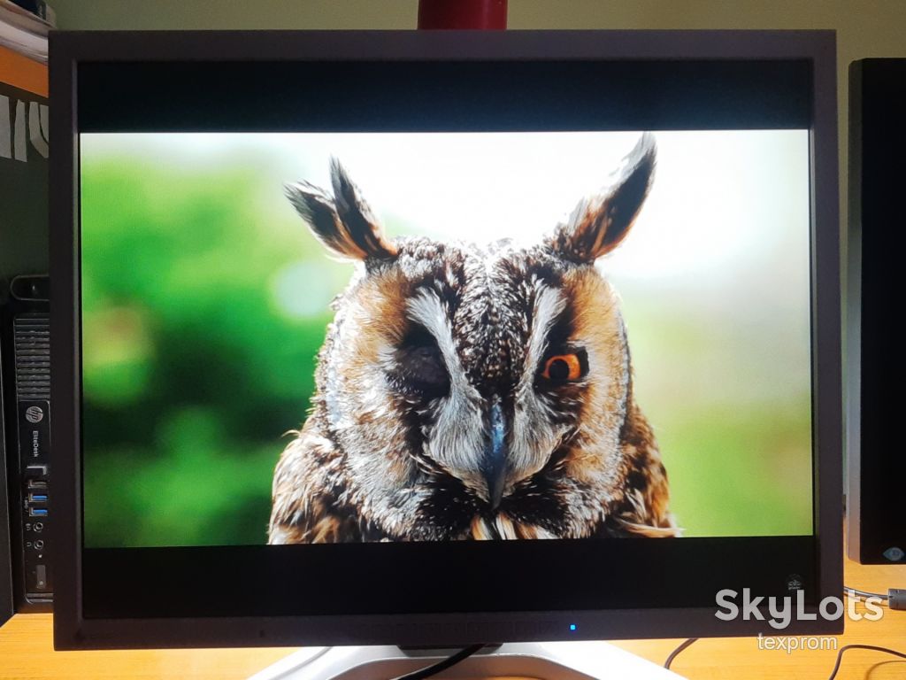 21" EIZO S2100 Інвертор - фото фото фото 4