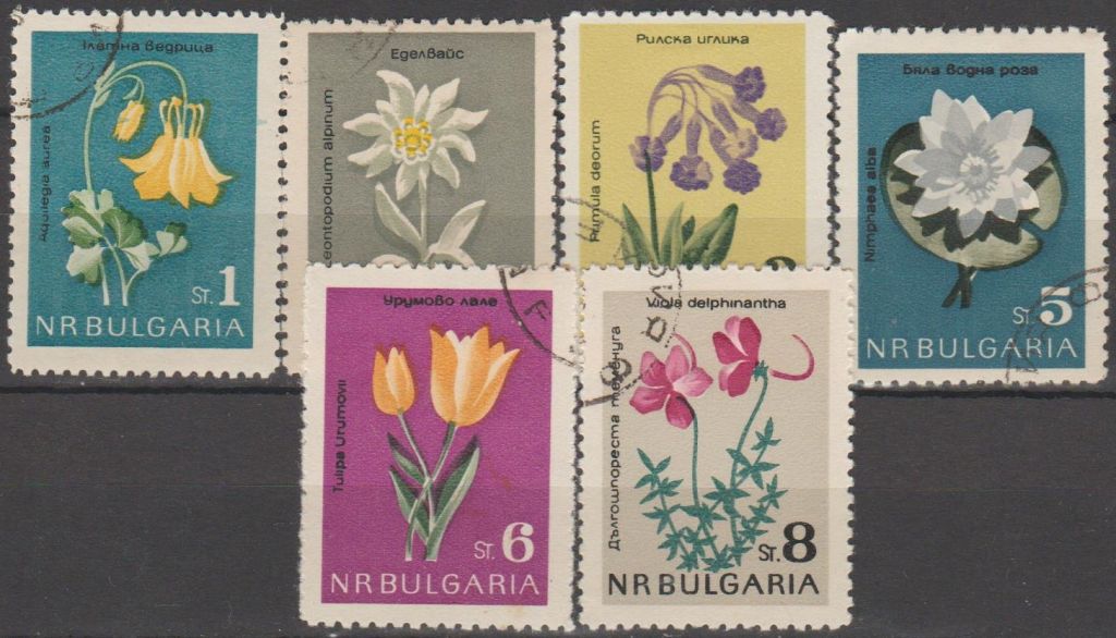 Болгария Болгарія 1963 флора - фото фото фото 0