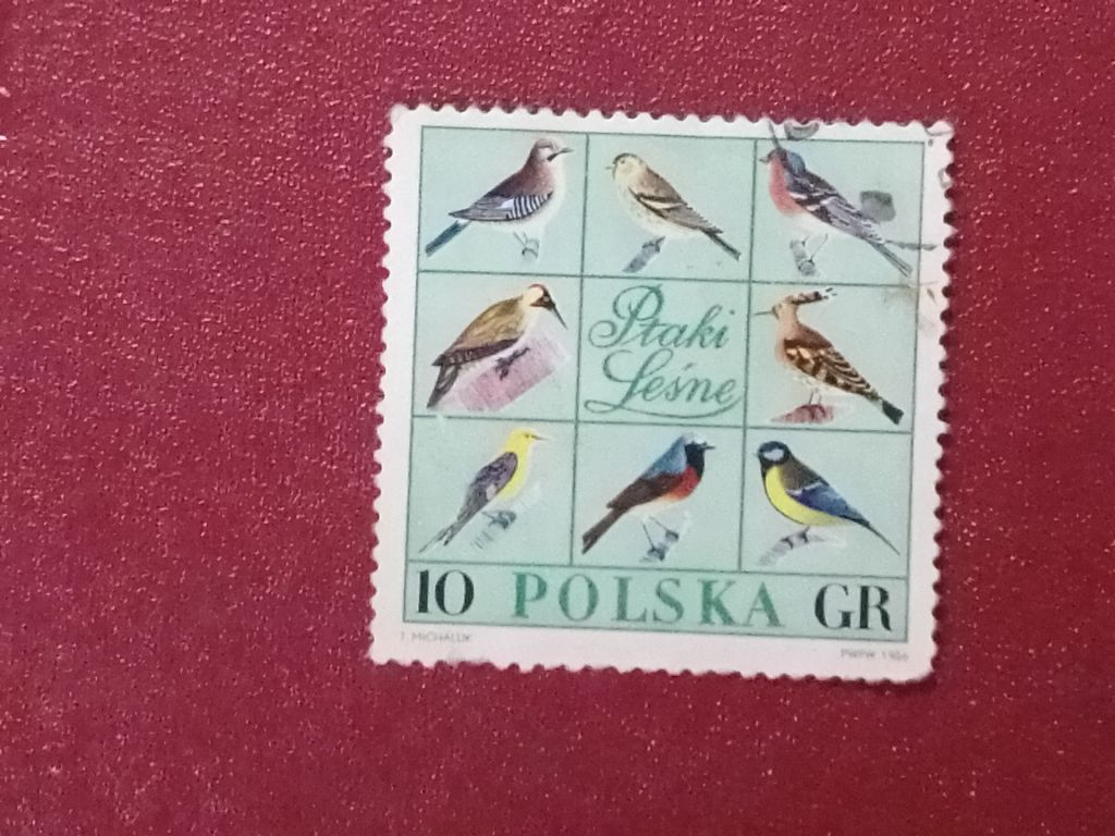 Распродажа, Польша - фото фото фото 0