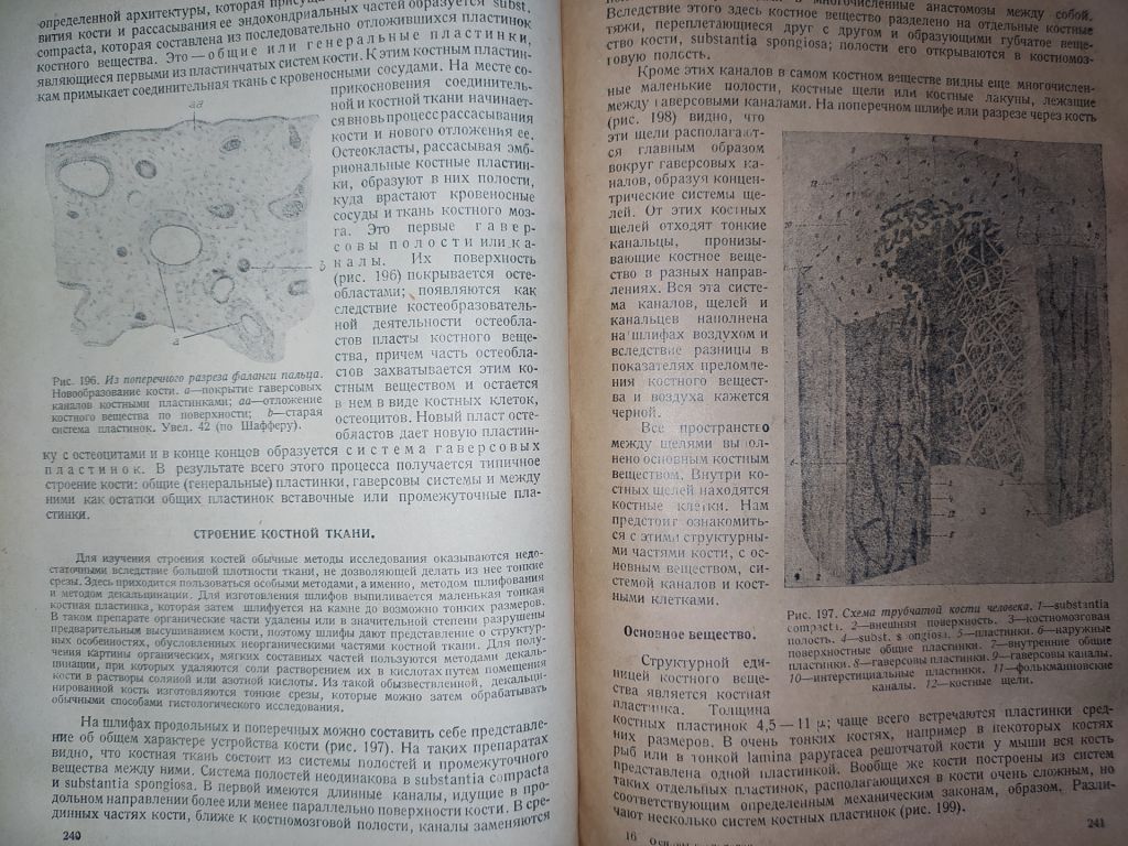 книга: ОСНОВЫ ГИСТОЛОГИИ И ГИСТОГЕНЕЗА ЧЕЛОВЕКА. Часть I. 1931г. - фото фото фото 9
