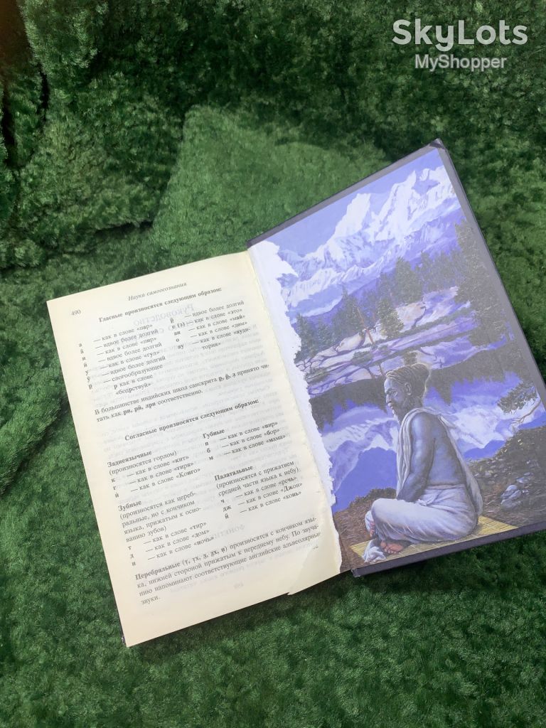 Книга «Наука самоосознания» А. Ч. Бхактиведанта Свами Прабхупада 2014 г.   (Н8159) - фото фото фото 11