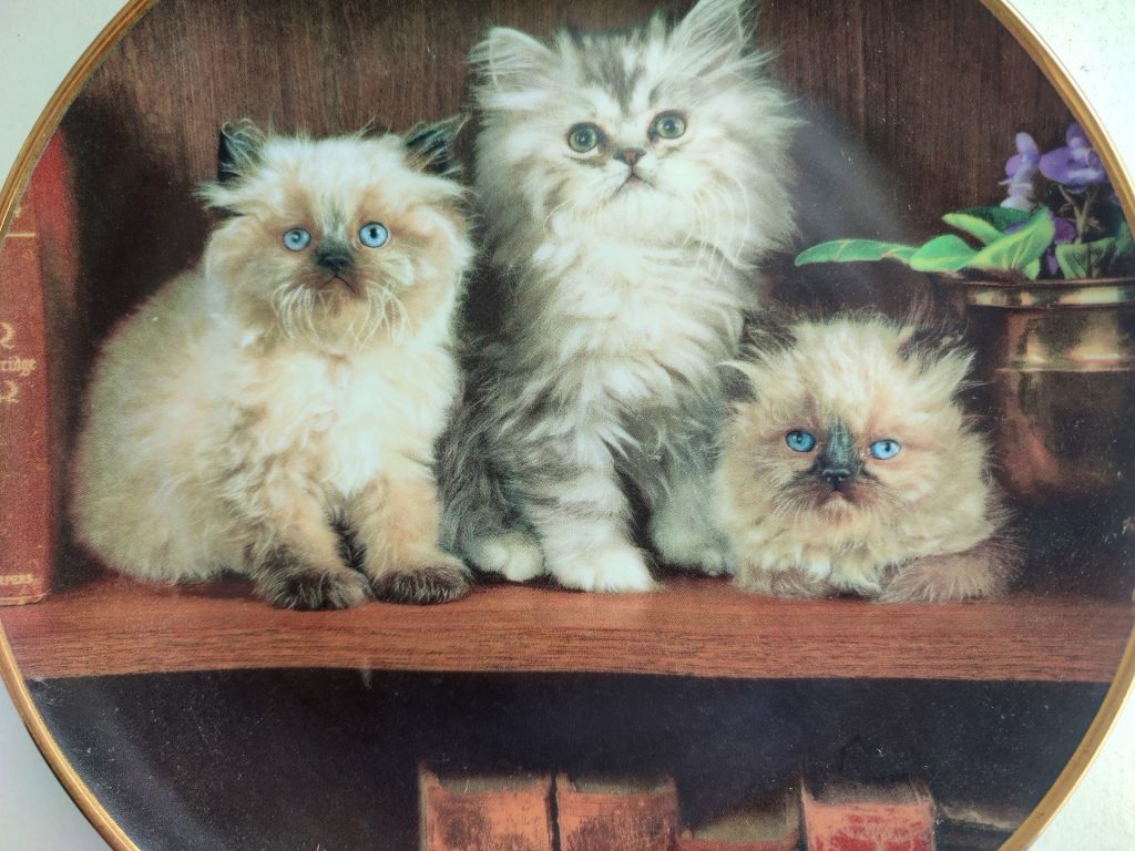 "КОТЕНОК. КОТ" коллекционная декоративная тарелка "FRANKLIN MINT" Португалия фарфор РЕДКАЯ!!! - фото фото фото 2